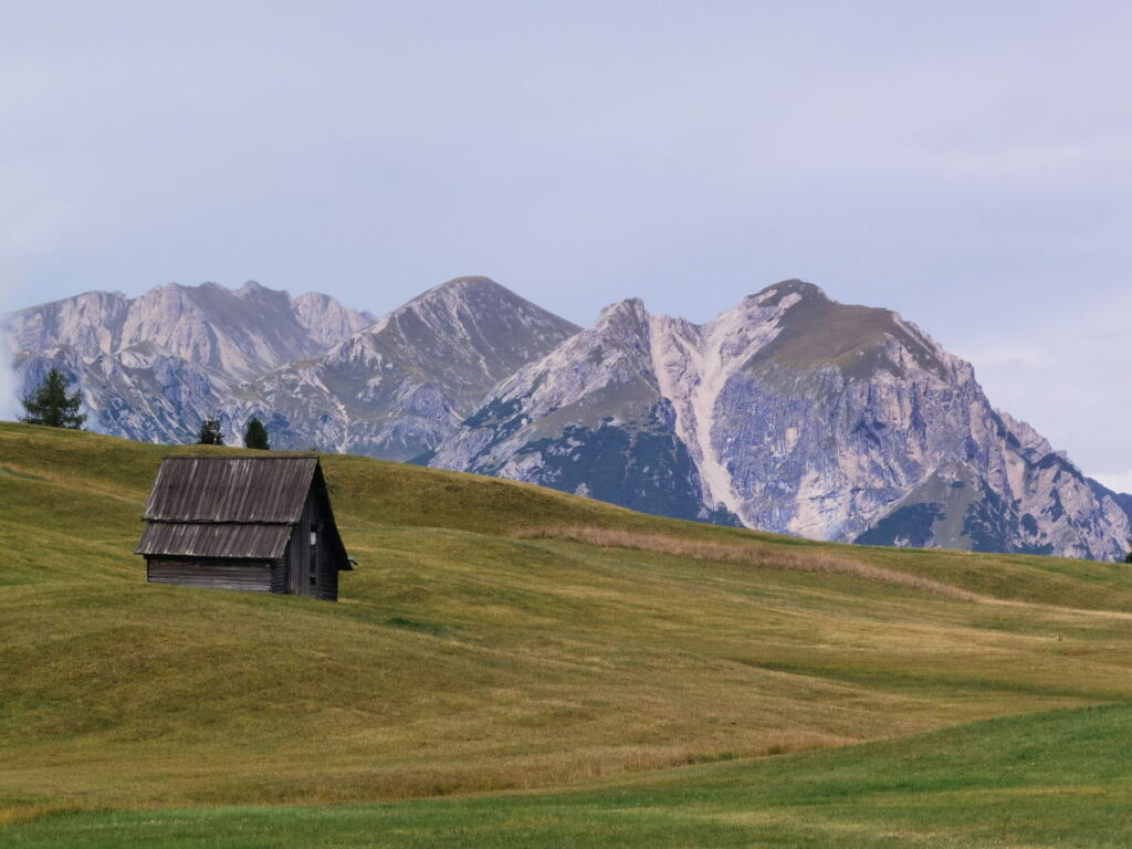Plätzwiese - grüne, weite Wiesenflächen werden von den Dolomiten Bergen überragt
