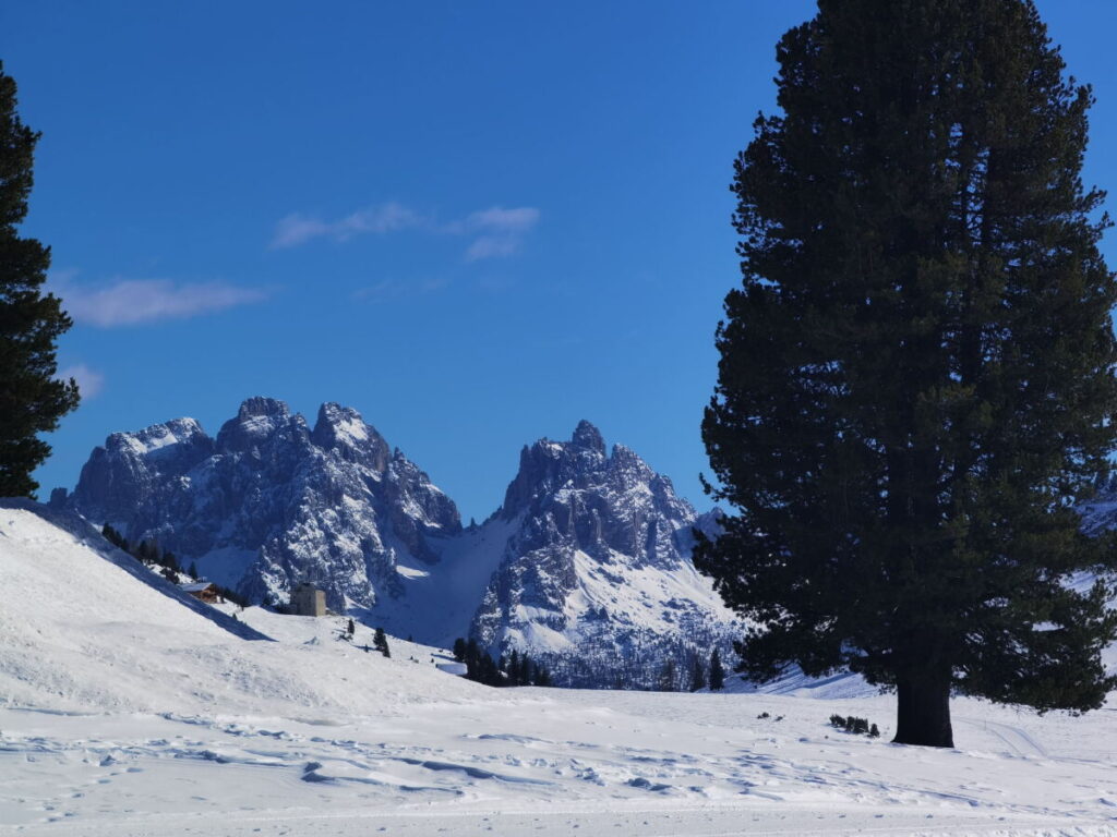 Plätzwiese Winter - mit dem traumhaften Dolomiten Panorama