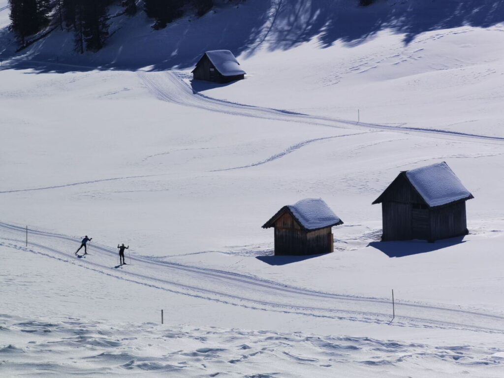 Plätzwiese Winter - Traum auf der Loipe