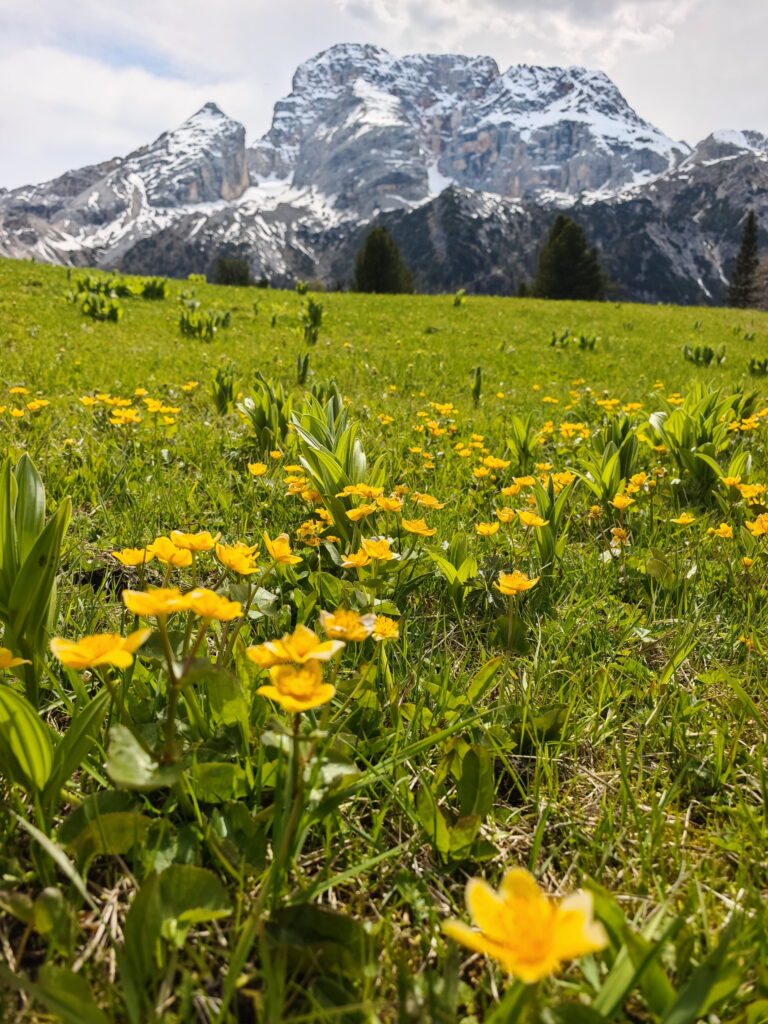 Mountainbiken Plätzwiese