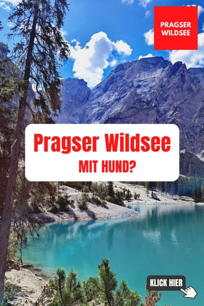 Pragser Wildsee mit Hund