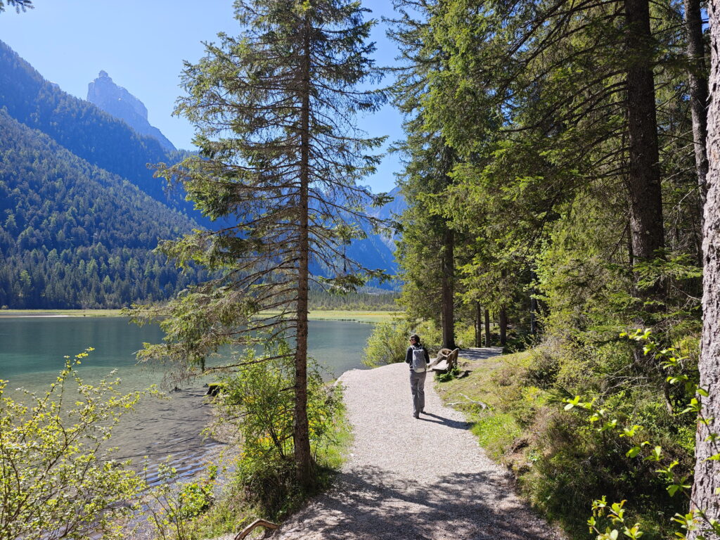Die Toblacher See Wanderung führt meist direkt am Wasser entlang